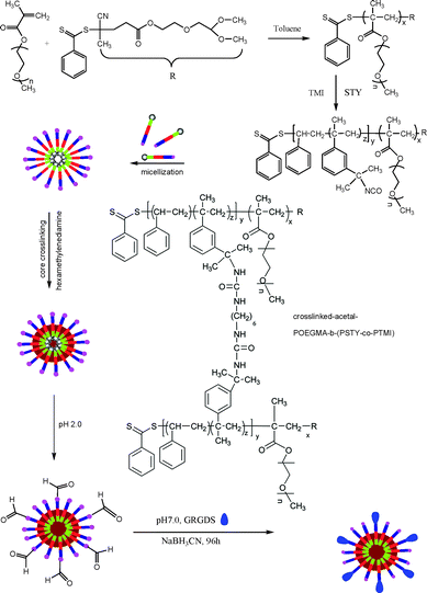 Synthetic route for the preparation of crosslinked GRGDS-POEGMA-block-P(STY-co-TMI)