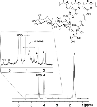 
            
              1H NMR spectrum in D2O at 60 °C of maltoheptaose-grafted PVA (3).