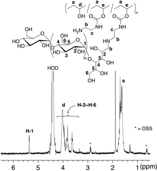 
            
              1H NMR spectrum in D2O at 60 °C of amylose-grafted PVA (4).