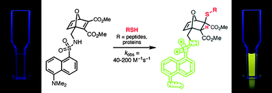
          Thiol-Michael coupling to a dansyl-labeled 7-oxanorbornadiene as a means of promoting fluorescence.