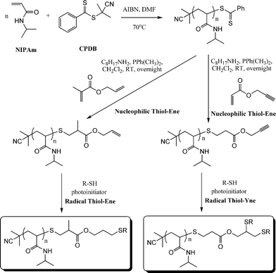 Synthetic approach to mono and bis end-functionalised PNIPAmvia sequential nucleophilic thiol-ene/radical thiol-ene or nucleophilic thiol-ene/radical thiol-yne reactions.