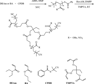 Synthetic outline for the convergent preparation of 3-arm star polymers under phosphine catalysis with RAFT-prepared precursor homopolymers. Reproduced by permission of Elsevier from ref. 111: Chan et al., The nucleophilic, phosphine-catalyzed thiol-ene click reaction and convergent star synthesis with RAFT-prepared homopolymers, Polymer, 2009, 50, 3158–3168. DOI: 10.1016/j.polymer.2009.04.030. Copyright 2009 Elsevier.