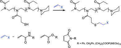 Synthesis of side-chain-modified poly(2-oxazoline)svia a thiol-Michael polymer analogous reaction.