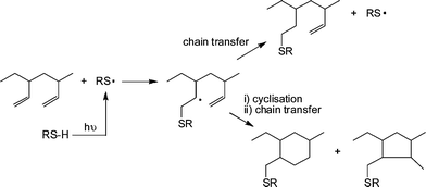 The thiol-ene modification of 1,2-polybutadiene under photochemical conditions highlighting possible competing intramolecular cyclisation reactions.