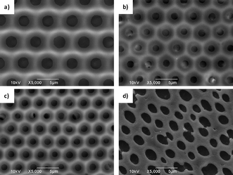 
          SEM images of porous PM-b-PS films fabricated via the casting/BF method at 20 °C in 50% RH. (a) PM2k-b-PS10k; (b) PM2k-b-PS8k; (c) PM2k-b-PS5k; (d) PM2k-b-PS2k.