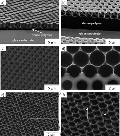 
          SEM images of honeycomb films of PM2k-b-PS10k. (a) and (c)–(f) PM2k-b-PS10k film fabricated by the dipping/BF method at 20 °C in 50% RH; (b) PM2k-b-PS10k film fabricated by the casting/BF method at 20 °C in 50% RH; (c) side view at tilt angle 40°; (d) top view; (e) pincushion structure (side view at tilt angle 40°); (f) magnified local view of (e).