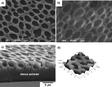 
          SEM and AFM images of PM2k-b-PS2k film. (a) and (b) top view; (c) side view; (d) 3D AFM image.