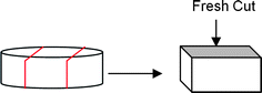 Preparation of elastomers for fluorescence microscopy.