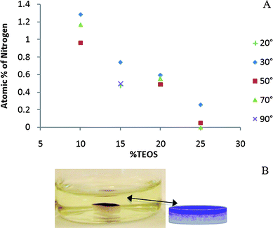 A: Nitrogen (catalyst) concentration (XPS) at surface with varying TEOS concentrations at different take-off angles (the 15% sample was examined at 2 different angles than the other samples). B: Ninhydrin staining showing presence of catalyst preferentially at the air interface.