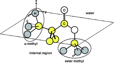 A possible local conformation of PMMA at the water interface.