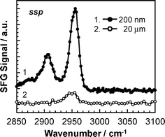 
            SFG spectra for thin and thick PMMA films under a N2 atmosphere.