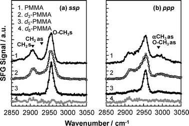 
            SFG spectra for various PMMA films under a N2 atmosphere. (a) ssp and (b) ppp polarization combinations.