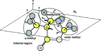 A possible local conformation of PMMA at the N2 interface.