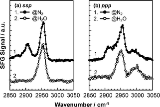 
              SFG spectra for PMMA at N2 and water interfaces for (a) ssp and (b) ppp polarization combinations.