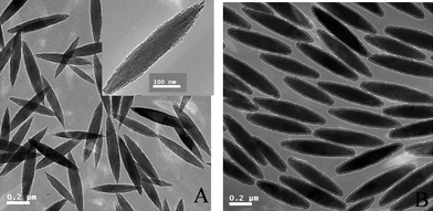 
          TEM micrographs: (A) hematite; (B) Fe2O3/P(MBA-co-MAA) core–shell particles.