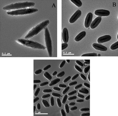 
            TEM micrographs of Fe2O3/P(MBA-co-MAA)/TiO2 hybrid ellipsoids formed with the addition of different amounts of ammonia: (A) 0.20 ml; (B) 0.25 ml; (C) 0.30 ml.