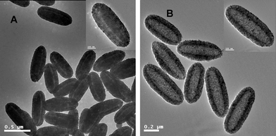 
            TEM micrographs of the three hollow capsules: (A) hollow ellipsoidal hematite-sphere-in-titania-sphere; (B) hollow titania capsules.