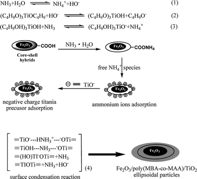 The formation mechanism of the titania coating.