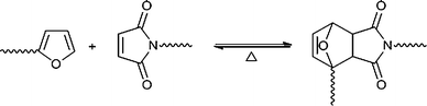 The DA equilibrium between growing species bearing respectively furan and maleimide end groups.