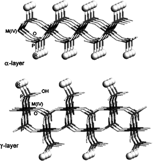 A schematic presentation of the α- and γ-layered structures of ZrP.35,36