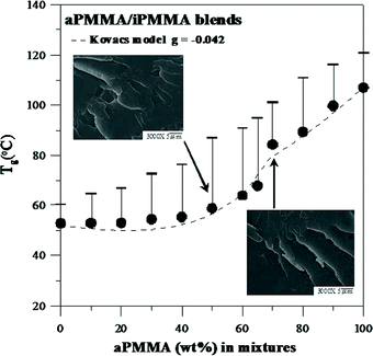 A plot of the Tgvs. composition of aPMMA/iPMMA blends, showing severe asymmetry. Insets: SEM micrographs for two compositions near the cusp point.