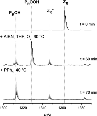 Electrospray ionization mass spectra of the end-group transformation of poly(methyl acrylate) carrying a dithiobenzoate end-group into hydroxyl functional pMA in the charge state z = 1. The reagents AIBN/THF and PPh3 were added sequentially at t = 0 and 60 min. Full conversion was reached after 70 min. The PPh3 acts as the reducing agent from –OOH to –OH.