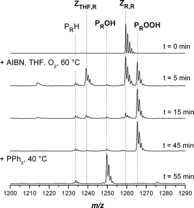 Electrospray ionization mass spectra of the transformation of poly(methyl acrylate) with a trithiocarbonate moiety in the middle of the chain into hydroxyl functional pMA in the charge state z = 1. The reagents AIBN/THF and PPh3 were added sequentially at t = 0 and 45 min. Full conversion was reached after 55 min.
