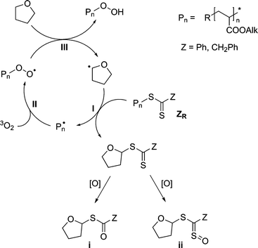 The pathway for the radical conversion of the dithioester group into a hydroperoxyl group.
