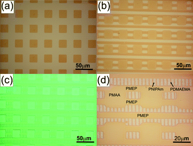 Multibrush patterned surfaces comprising one (a), two (b), three (c) and four (d) different brushes on the same substrate. Copyright American Chemical Society, 2006.