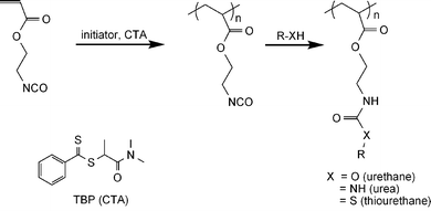 Direct RAFT polymerization of 2-(acryloyloxy)ethylisocyanate (AOI) utilizing TBP as the chain transfer agent (CTA) and subsequent functionalization through reaction with alcohols, amines and thiols.