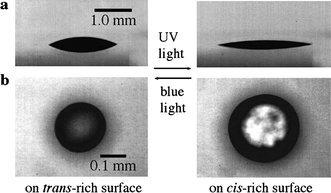 Lateral (a) and top (b) views of in situ spreading/retraction motion of droplets on plates modified with a monolayer of azobenzene terminated calix[4]resorcinarenes upon homogeneous irradiation with UV and blue light from ref. 194. Reproduced with permission of the Royal Society of Chemistry.