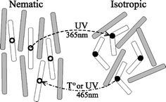 A schematic depiction of nematic–isotropic phase transformation in a LC containing photoisomerizable mesogenic molecules, which turn from a rod-like trans to a bent cis conformation under UV irradiation. Reprinted with permission from ref. 42. Copyright (2002) American Institute of Physics.