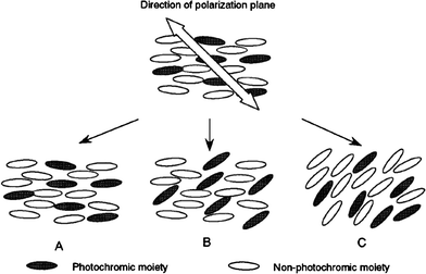 Three types of molecular reorientation of photochromic liquid-crystal polymers irradiated with linearly polarized light: (A) no photoreorientation; (B) selective photoreorientation of photochromic mesogens; (C) cooperative photoreorientation. Reprinted with permission from ref. 65. Copyright (2000) American Chemical Society.