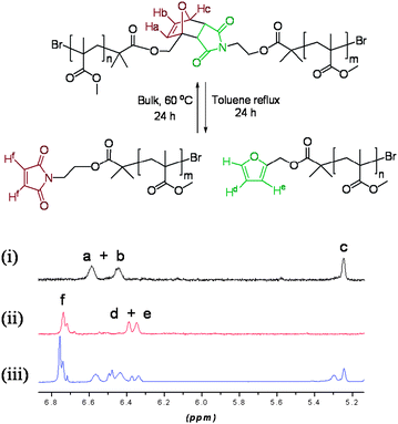 
            1H NMR of polymer 10 (i) prior to heating, (ii) cleaved polymer following heating, and (iii) reformed polymer.