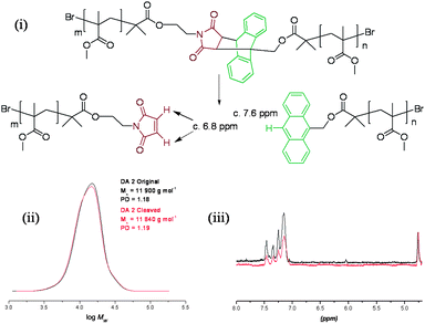 Attempted deprotection of 12 in DMSO at 200 °C: (i) reaction scheme, (ii) GPC data, and (iii) partial 1H NMR spectra before and after the attempted retro-Diels–Alder polymer cleavage.