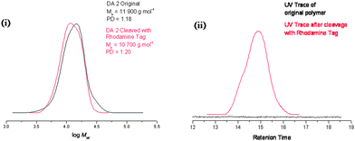 Cleavage of DA2 polymer monitored by GPC with (i) DRI detection and (ii) UV detection showing no absorbance in the original polymer, and a peak following cleavage and addition to the rhodamine tag, retention time is given for the UV trace as this detector was not calibrated.