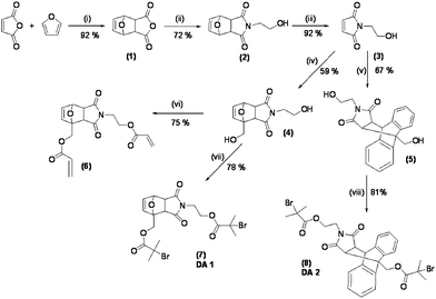
            Reagents and conditions: (i) toluene, 80 °C; (ii) ethanolamine, Et3N, MeOH, 0 °C to 70 °C; (iii) toluene, reflux, 24 h; (iv) furfuryl alcohol, benzene, reflux; (v) anthracenemethanol, toluene, reflux; (vi) acryloyl chloride, dichloromethane, 0–25 °C; (vii and viii) 2-bromo isobutyl bromide, Et3N, 0–25 °C, THF.