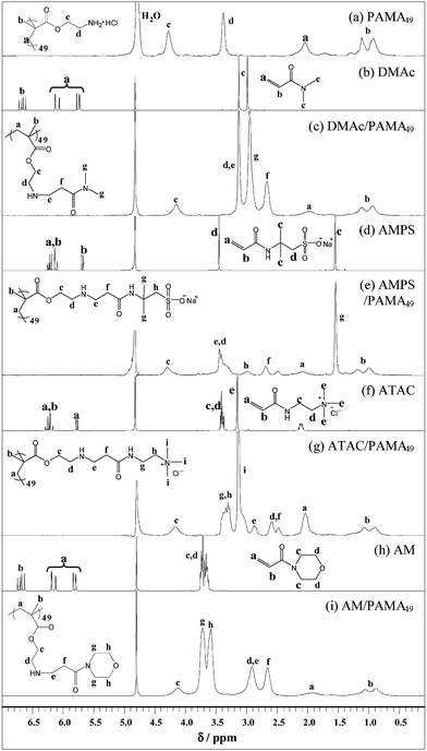 Assigned 1H NMR (D2O) spectra for (a) PAMA49; (b) DMAc; (c) DMAc-modified PAMA49; (d) AMPS; (e) AMPS-modified PAMA49; (f) ATAC; (g) ATAC-modified PAMA49; (h) AM; (i) AM-modified PAMA49 in D2O.