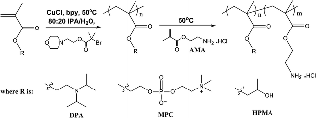 Schematic representation of the synthesis of all-methacrylic PAMA-based diblock copolymers by using either 2-(diisopropylamino)ethyl methacrylate (DPA), 2-(methacryloyloxy)ethyl phosphorylcholine (MPC) or 2-hydroxypropyl methacrylate (HPMA) in the first-stage polymerisation.