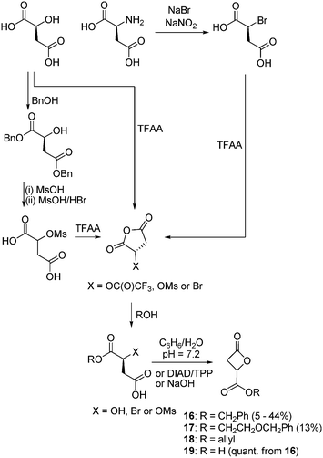 General routes for the synthesis of β-malolactones from l-aspartic acid or l-malic acid.