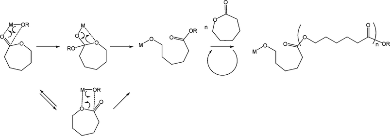 The coordination/insertion mechanism by a metal alkoxide species (M–OR).