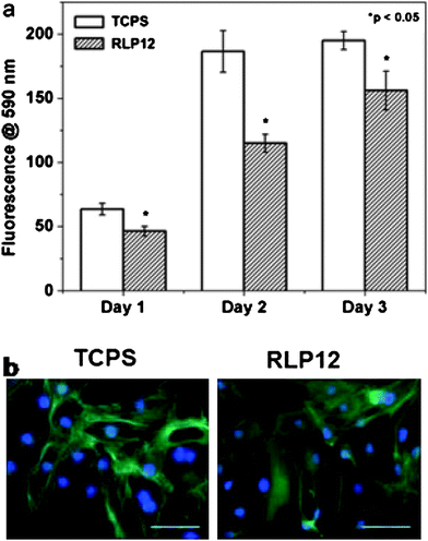 Proliferation data (days 1–3) and fluorescence microscopy images (day 1) of NIH-3T3 cells on control TCPS and on films formed from RLP12. The scale bar represents 100 μm. Reproduced with permission from ref. 123, © 2009 The Royal Society of Chemistry.