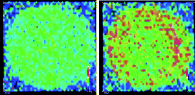 MALDI-imaging of a polystyrene spot (M ≈ 5000 kg mol−1) prepared using the “dried droplet” method (THF, all-trans retinoic acid/AgTFA), ion intensities of PS42 (left) and PS58 (right) showing accumulation of higher masses at the outer periphery of the spot (unpublished results of the authors).