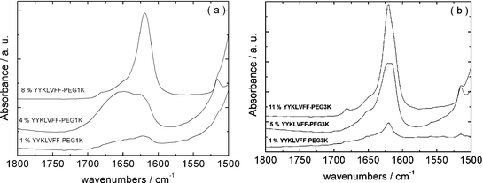 Amide I/II regions of FTIR spectra for samples in D2O at the concentrations indicated: (a) YYKLVFF–PEG1k and (b) YYKLVFF–PEG3k.