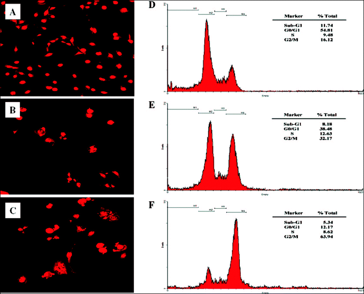 Confocal images of PI stained HCT-116 cells: (A) control, (B) Taxol, and (C) HA-paclitaxel. FACS analysis of apoptotic effects on HCT-116 cells: (D) control, (E) Taxol, and (F) HA-paclitaxel conjugate micelles. All paclitaxel formulations have 1 μg mL−1 of equivalent paclitaxel concentration45 (reprinted with permission from H. J. Lee, K. R. Lee and T. G. Park, Bioconjugate Chem., 2008, 19, 1319, Copyright (2008) American Chemical Society).