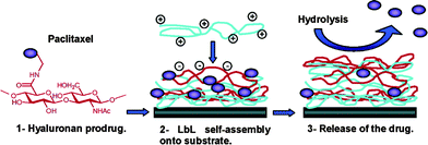 Delivery platform for hydrophobic drugs: prodrug approach combined with self-assembled multilayers128 (reprinted with permission from B. Thierry, P. Kujawa, C. Tkaczyk, F. M. Winnik, L. Bilodeau, and M. Tabrizian, J. Am. Chem. Soc., 2005, 127, 1626, Copyright (2005) American Chemical Society).