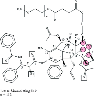 Prodrug PP7, a water-soluble PEG-paclitaxel conjugate (squares: hydrogen bonds to tubulin Arg 218, Arg 222, Lys 199, Hs 242; circles: interaction with hydrogen in warfarin (in albumin)).154
