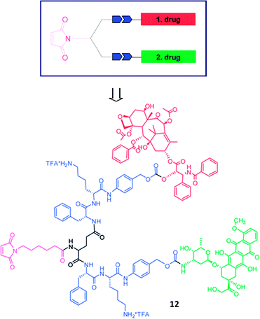General structure of a dual-acting prodrug and the structure of the target compound 1296 (reprinted with permission from K. Abu Ajaj, M. L. Biniossek and F. Kratz, Bioconjugate Chem., 2009, 20, 390, Copyright (2009) American Chemical Society).