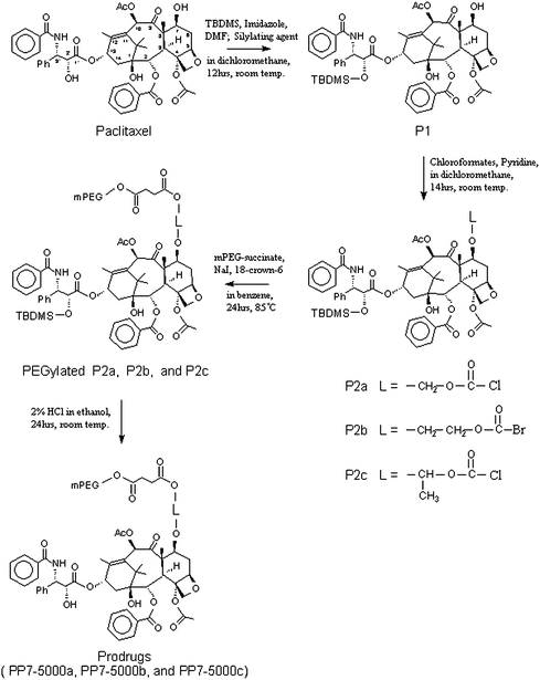 Synthesis route for the prodrugs (PP7-5000a: PP7 having a M.W. of 5000 PEG and P2a self-immolating group, L = –CH2–O–CO–).78