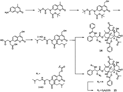 Synthesis of phototaxels 14 and 15127 (reprinted with permission from M. Noguchi, M. Skwarczynski, H. Prakash, S. Hirota, T. Kimura, Y. Hayashi and Y. Kiso, Bioorg. Med. Chem., 2008, 16, 5389, Copyright (2008) Elsevier Ltd).